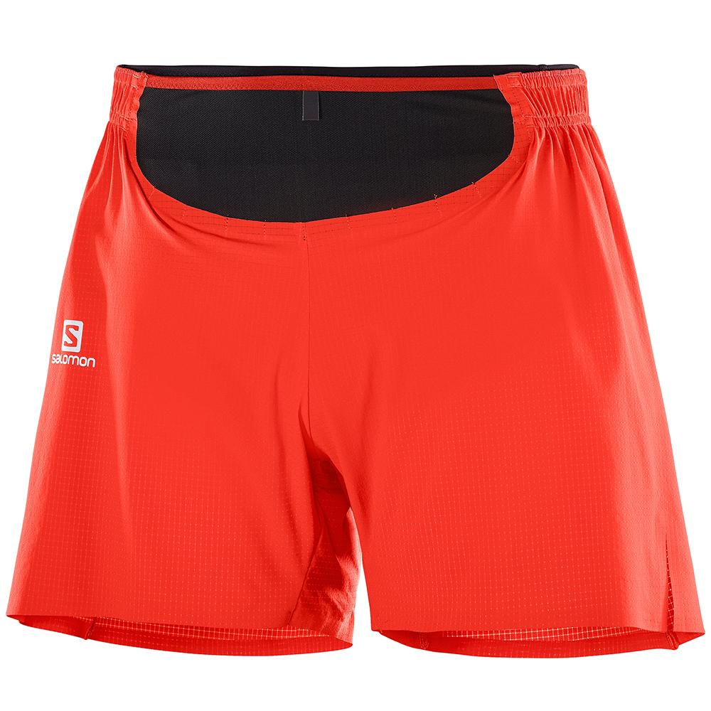 Jaquetas Salomon SENSE PRO M Homem Vermelhas - Portugal HTDIX-9317